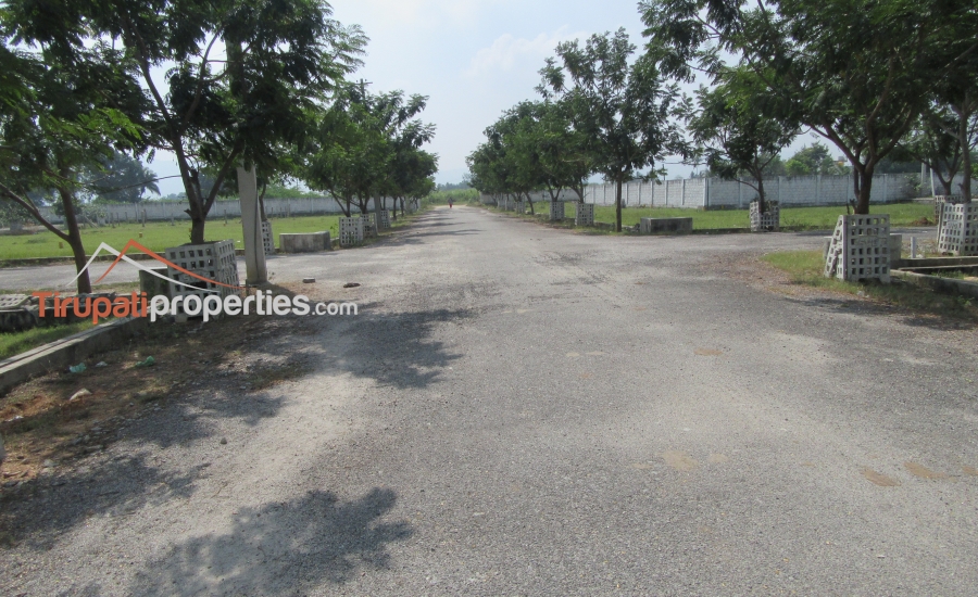 TUDA Approved Residential Plots Venture in Thanapalli, Tirupati